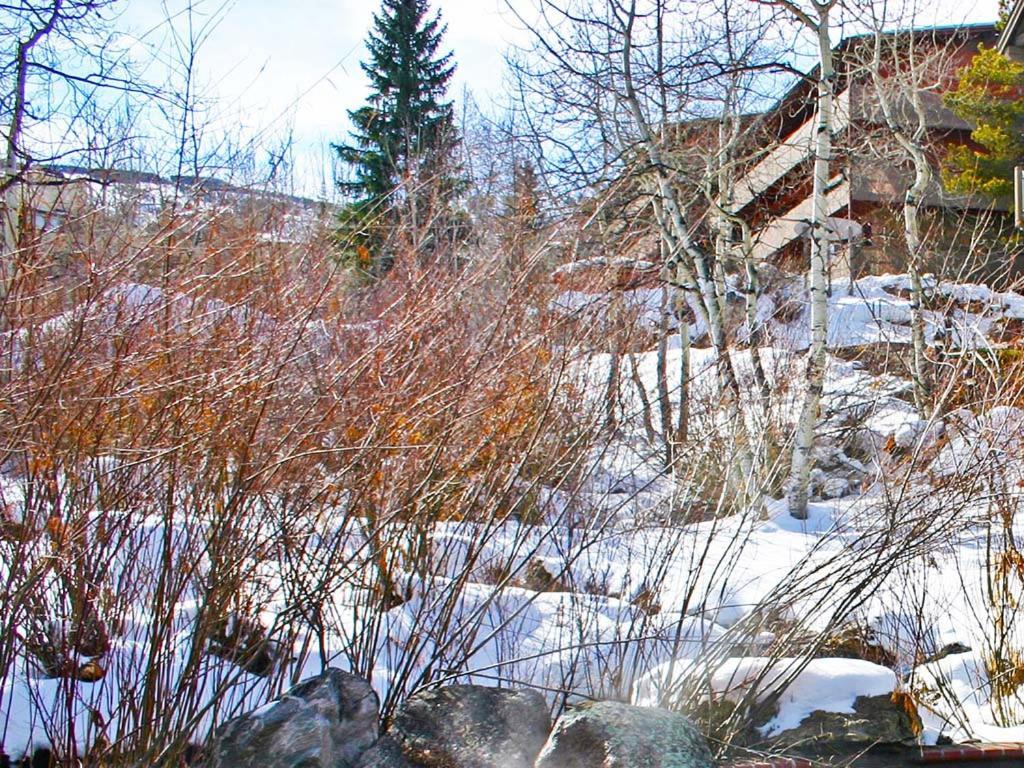 Terracehouse By Snowmass Vacations Apartment Snowmass Village Exterior photo